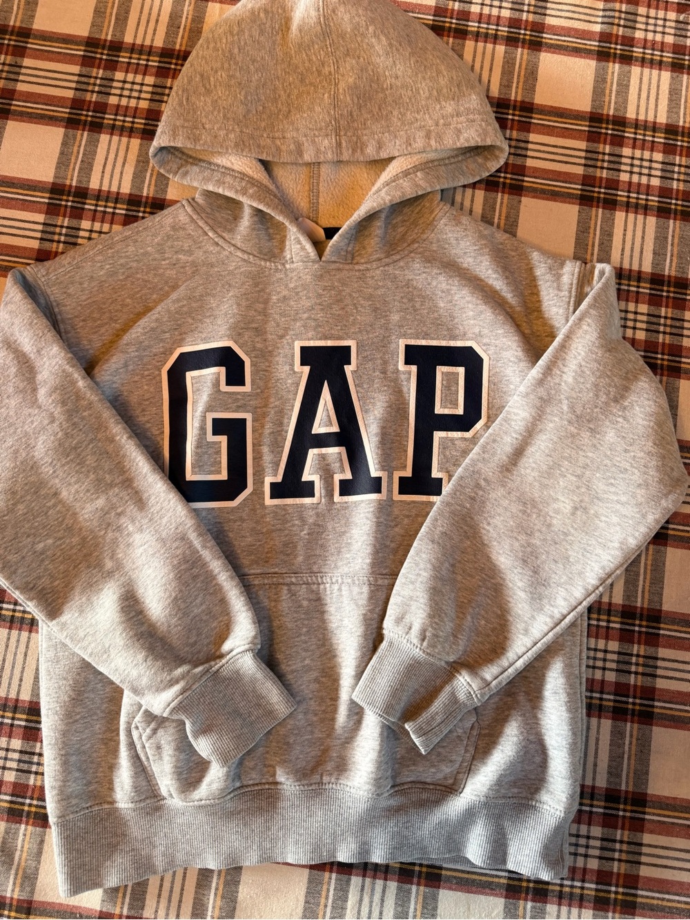 GAP Gray Hoodie with Navy Logo